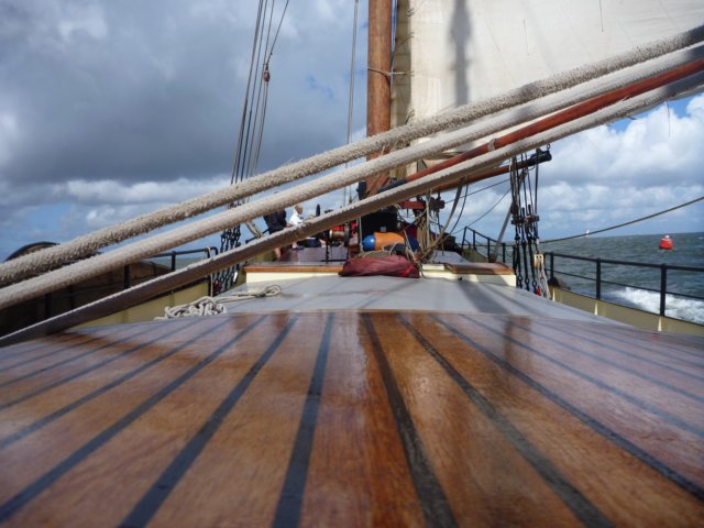 2011 Zeilen054.jpg
